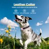 PawView Leather Padded Dog Collar & Smart AirTag Holder- Soft