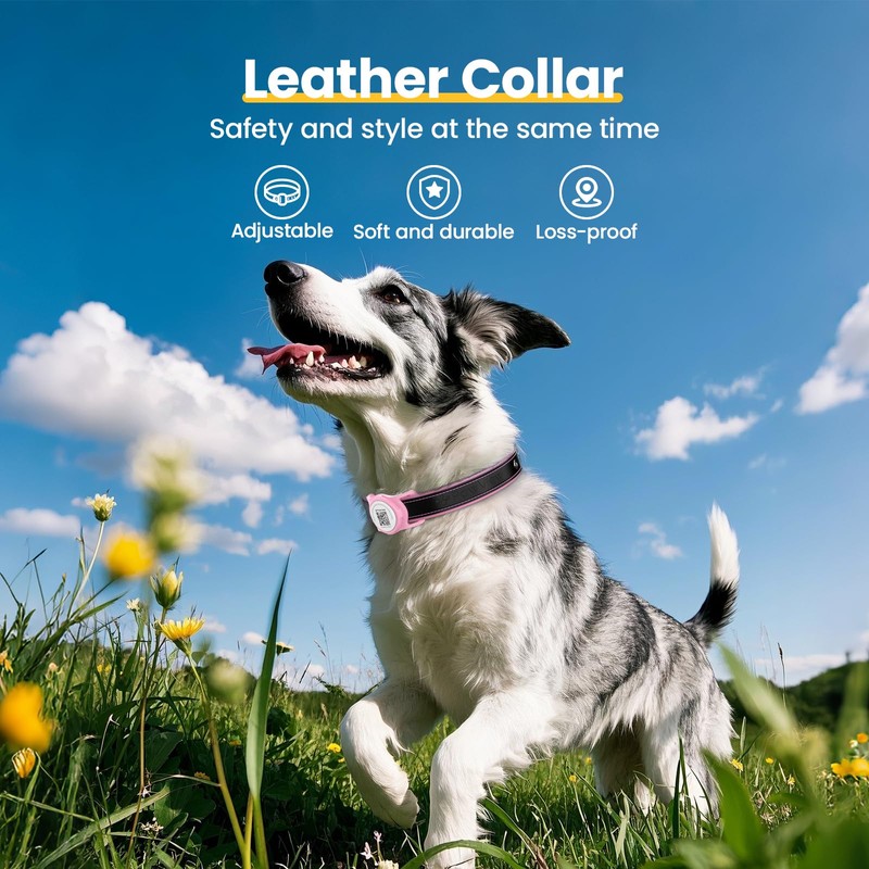 PawView Leather Padded Dog Collar & Smart AirTag Holder- Soft