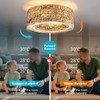 Rattan Ceiling Fans with Light and Remote, Boho Fandelier Ceiling
