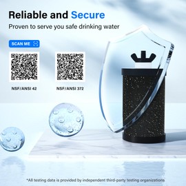 Purewell PF-1-PH Upgraded 4-Stage Composite Carbon and Alkaline Filters, Compatible with Berkey® Big+, ProOne® Big+ Gravity Water Filter Systems and Purewell Systems, pH 8-9 (2 Pack, K Series)