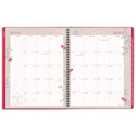 AT-A-GLANCE Academic Year Weekly / Monthly Appointment Book / Planner, July 2016-June 2017, 8-1/2x11", Pop Robin (601-905A)