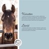 Annimally Selenium, Vitamin E, Lysine Powder for Horses, 800 g,