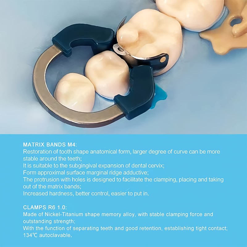 Dental Matrix Ring Set, Dental Sectional Contoured Matrix Bands Nickel