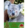 Koala Bear Christmas Card 'Merry Christmas' - Special Xmas Card