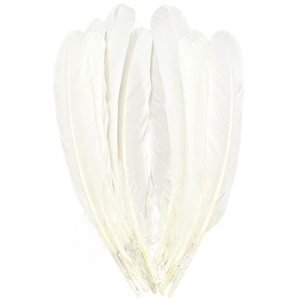 White Feathers,Natural Big Long Goose Feather,8-10 inches (20-25cm),Large Size Bilateral