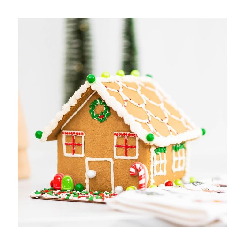 Adults & Crafts Gingerbread House Making Kit