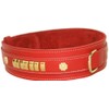 BBD Mastiff Collar, small, red