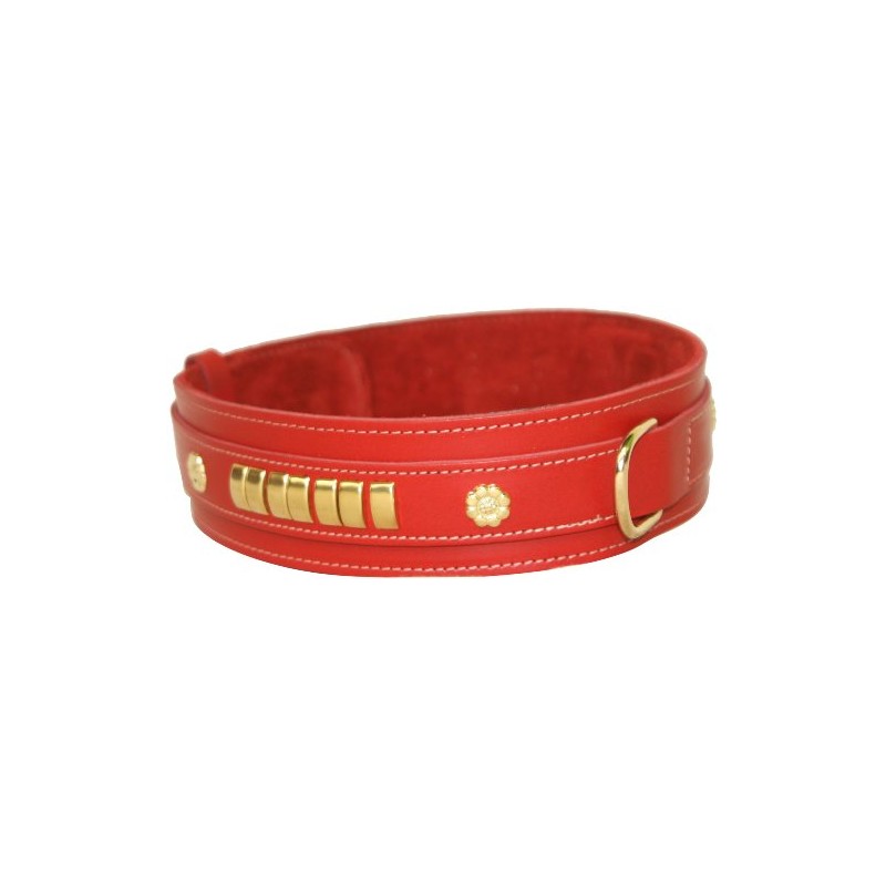 BBD Mastiff Collar, small, red