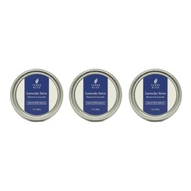 Terre Bleu Lavender Salve (3)