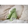 Tikiri 8598304 Natural Rubber Crocodile Comforter for Babies and Children