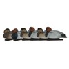 Avian-X Top Flight Red Heads Duck Hunting Decoys 8089, one