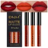 3Pcs Matte Liquid Lipstick Set, Long Lasting Waterproof Non-Transfer Lip