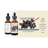 New Icecube Herbals Triple-Extracted Elderberry Extract (2 oz.) …