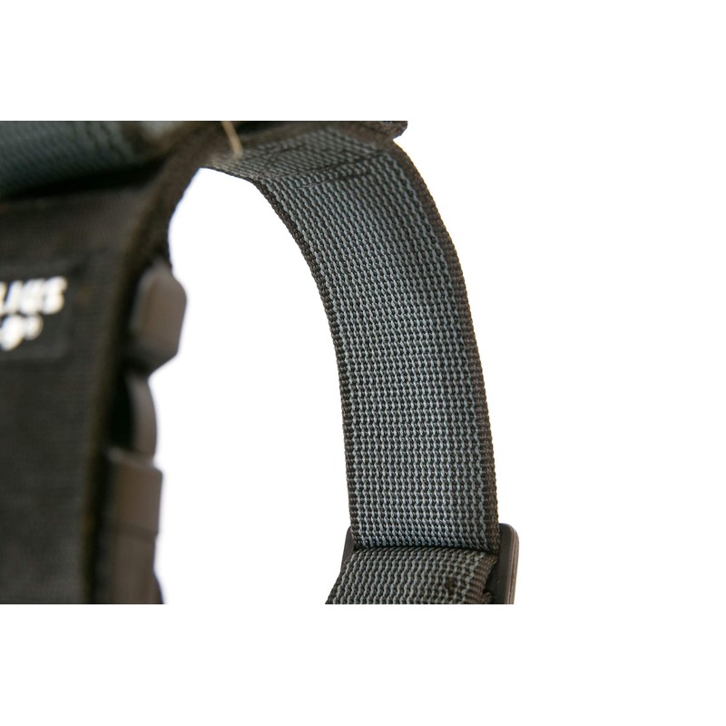 Julius-K9 Colour and Gray Collar with Handle, Safety Lock and