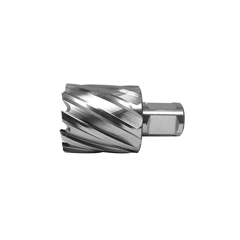 PAULIMOT HSS Core Drill Bit with Drilling Depth 30 mm,