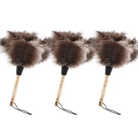 Retractable Feather Duster Ostrich Feathers Anti-Static Reusable Eco-Friendly Handheld Cleaning for Keyboard Home Car Officecolor: Style C - 3 Pcs
