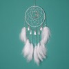 Shiwaki Moonlight Feather Dream Catcher, Handmade Dream Catchers for Bedroom