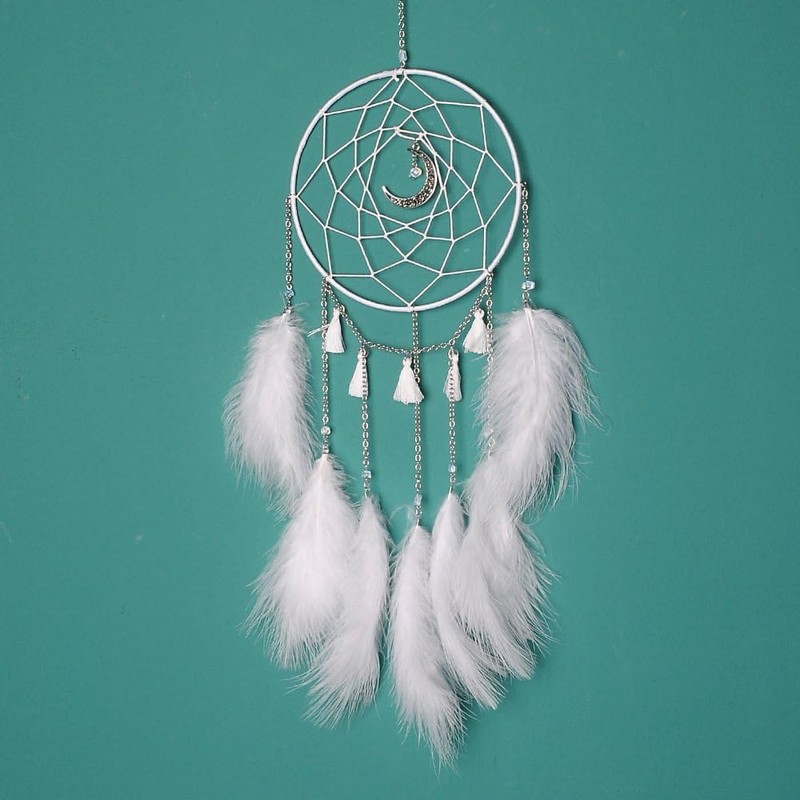Shiwaki Moonlight Feather Dream Catcher, Handmade Dream Catchers for Bedroom