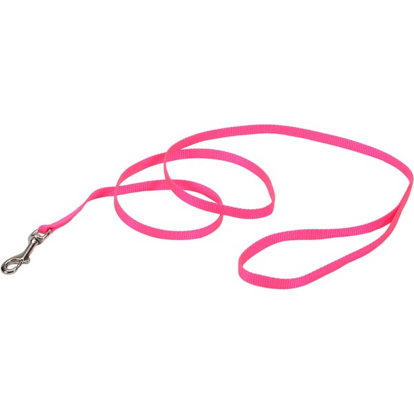 Dog Leash - Nylon - 6 Ft. Blue with a