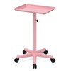 Salon Cart Tray Tattoo Tray for Hair Stylist Salon Trolley