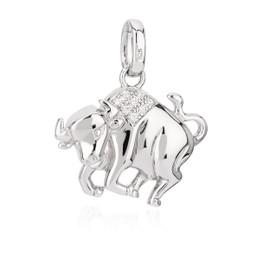 NKlaus Zodiac Zodiac Pendant 925 Silver with White Cubic Zirconia Horoscope, Silver, Cubic Zirconia