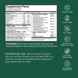 BRAINMD Dr Amen Neuro Greens Superfood - 7.9 oz - Supports Whole-Body Wellness, Digestion + Immune & Brain Health - Gluten Free - 30 Servings