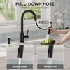 FORIOUS Black Kitchen Faucet with Pull Down Sprayer, Modern Single
