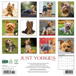Yorkies 2026 12" x 12" Wall Calendar