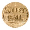 JELSCO Letterman Jacket Pin (Volleyball)