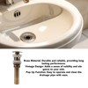 Pop Up Sink Drain Vintage Sink Vessel Drain Stopper Plant