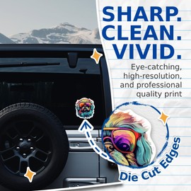 (2 Pack) Pekingese Dog Stickers - Pekingese with Sunglasses - Choose FromOver 100 Dog Breeds - 5 Inches On Longest Side - Premium Vinyl - Made in USA - BMCS0379