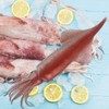 NOLITOY Kensaki Squid Model PVC High Definition Squid Figure for
