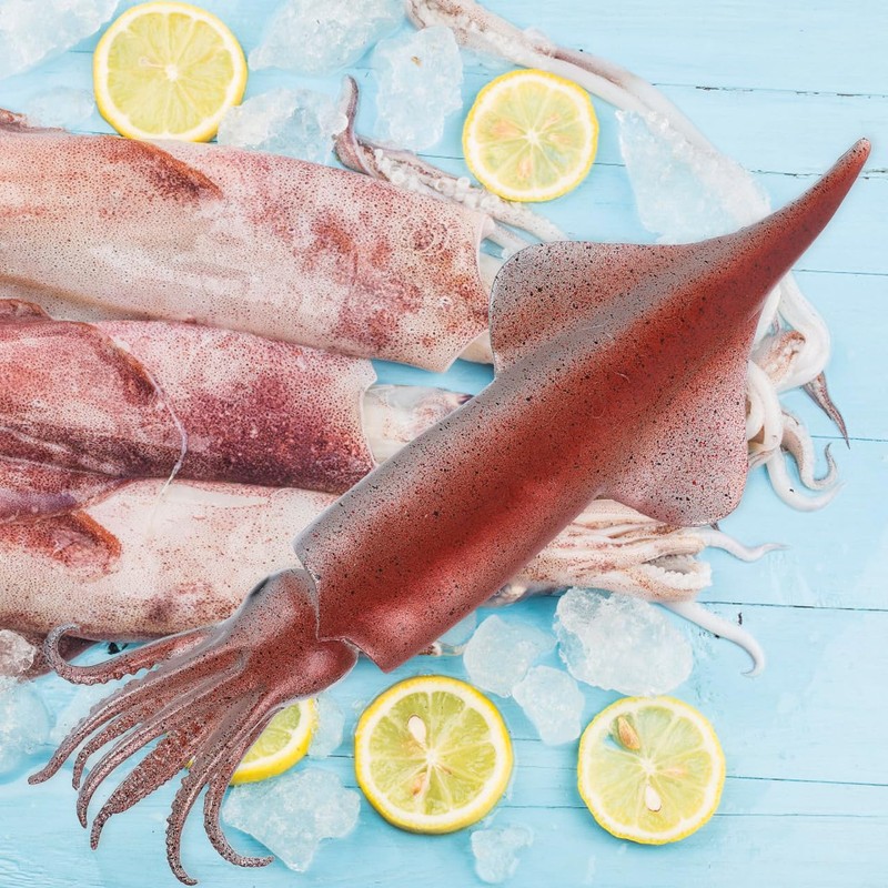 NOLITOY Kensaki Squid Model PVC High Definition Squid Figure for