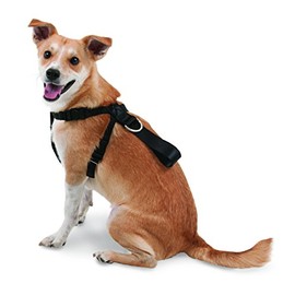 Petmate 11471 Seat Belt Travel Harness for Pets, Small, Black
