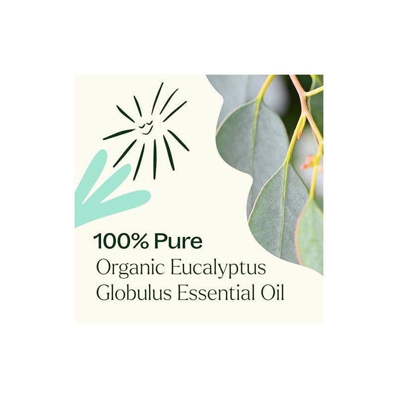 Plant Therapy Aceite Esencial De Eucalipto Orgánico 10ml