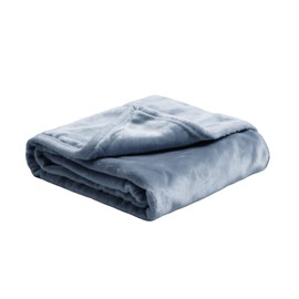 Plush Velvet Fleece Bed Blanket, Lightweight Queen Size Blanket, Soft Fuzzy Cozy Blanket for Couch (Haze Blue, Queen)