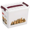 Sunware Q-Line Pet Decor Box, One Size