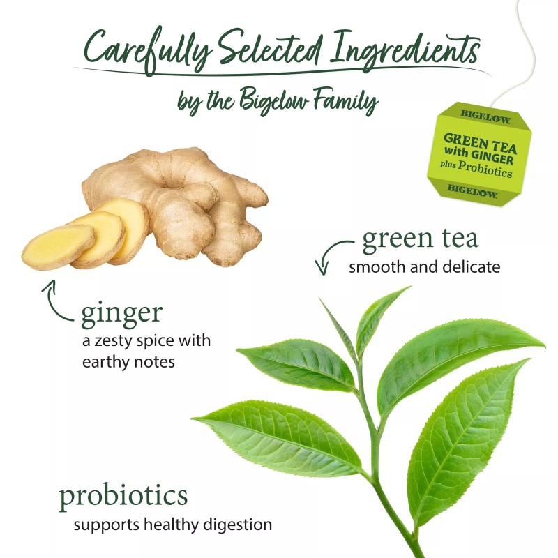 Bigelow Green Tea with Ginger Plus Probiotics Pack of 6
