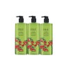 Organist Objet Soapberry Body Wash, 3 bottles, 700ml / 오가니스트 오브제 무환자 바디워시, 3개, 700ml