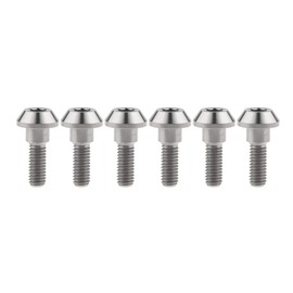 Ruifu Titanium M6x20 25mm Motorcycle Disc Brake Rotor Bolts for Suzuki GSXR Yamaha R1 R6 FZ600 FZ1000 FJR1300 Titanium Bolts 6pcs (Titanium, M6x20mm)