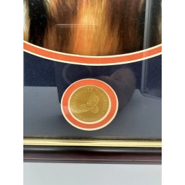 Auburn Tigers “Tiger Eyes” Collegiate Football Classics Framed Art 13”x15”