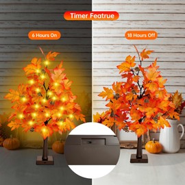 2 Pack 24 Inch Fall Decor Maple Tree - 2FT Lighted Fall Tree with 36 LED Lights, 72 Maple Leaves, 6 Pines, Timer, Battery or USB Operated Artificial Tree Fall Decorations for Home