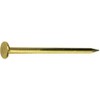 Daido Hunt HP Brass Nails, Flat 0.7 x 1.2 inches