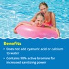 In The Swim 1 Inch Bromine Plus Tablet Sanitizer for