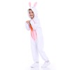 Funivals Easter Bunny costume for kids,Rabbit onesie bodysuit, one-piece garment,