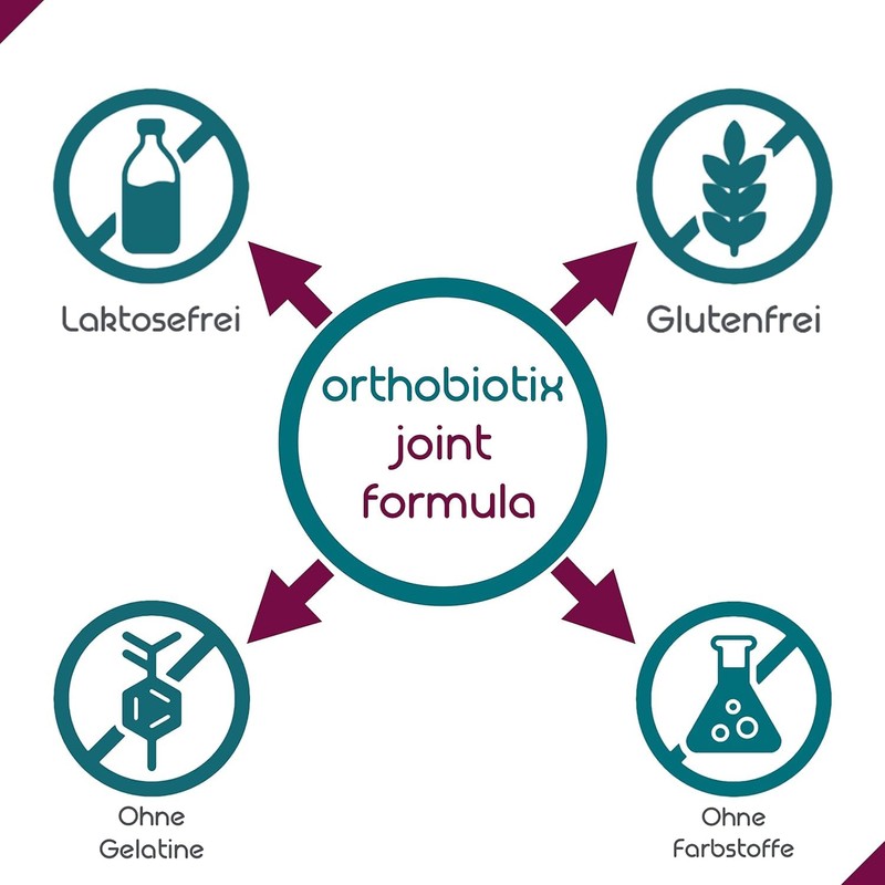 orthobiotix Joint Formula - with Glucosamine, Chondroitin, MSM, Hyaluronic Acid