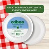 Caboo Disposable Bamboo Paper Plates, 125 Pack of 10 Inch