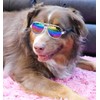 G010 Dog Pet Costume Prop Aviator Sunglasses Medium Breeds 20-40