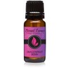Dragonfruit Berry - Premium Grade Fragrance Oils - 10ml -