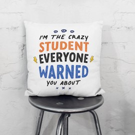 MUGFFINS STUDENT Cushion Padding included - in English - Everyone warned you about - Funny gift - Pillow: cover and filling 15.7x15.7 inches